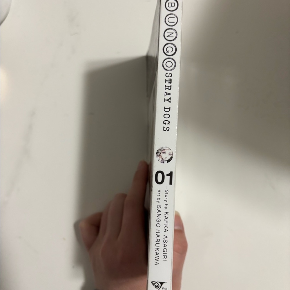 Bungo Stray Dogs Manga Volume 1